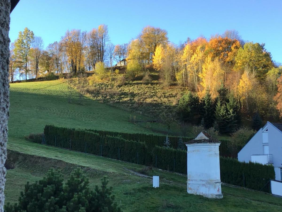 Apartman Castle View Český Krumlov Eksteriør billede